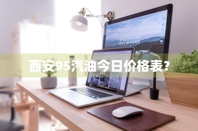 西安95号汽油今日价格分析与软件开发技术的关联